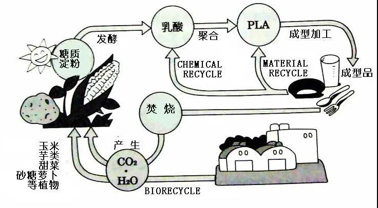 可生物降解環(huán)保塑料可以回收再利用嗎？(圖4)