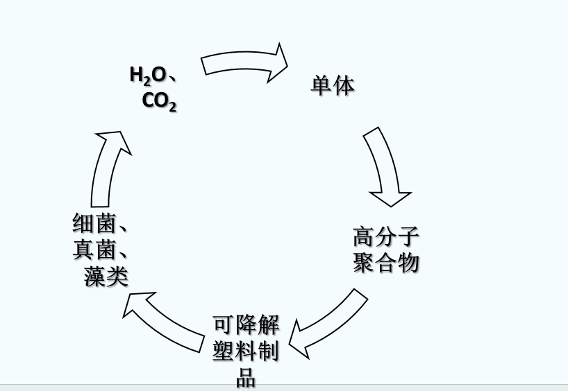 什么是可生物降解塑料？(圖1)